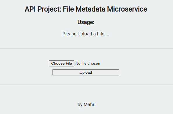 File Metadata Microservice